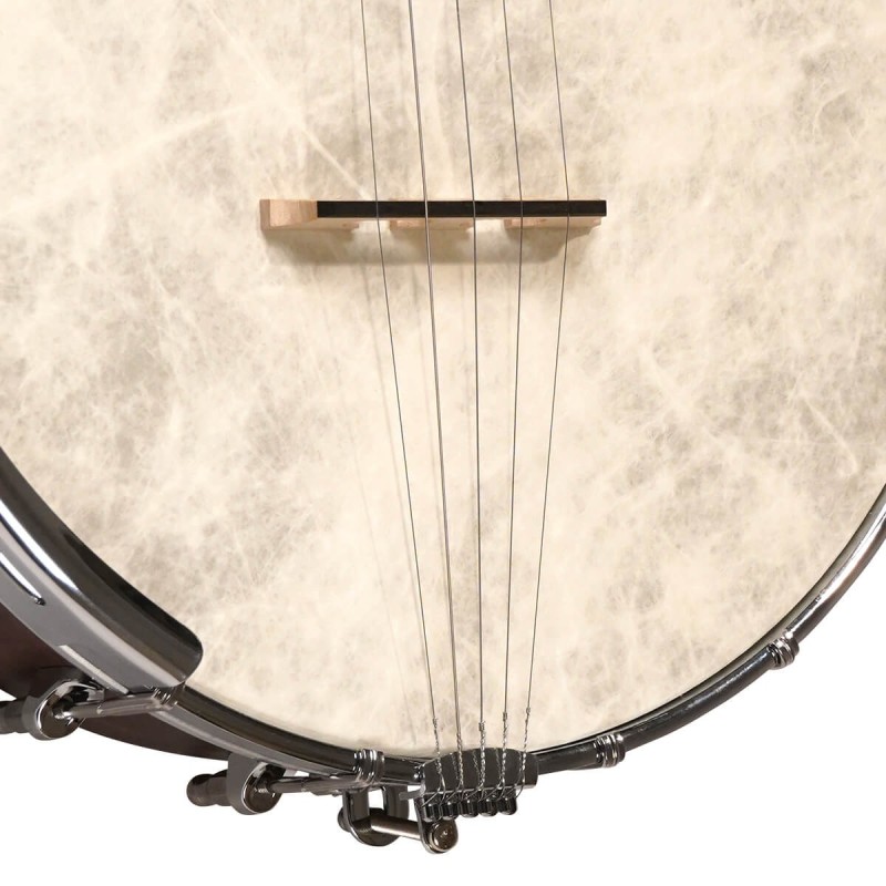 Gold Tone CC-OT - Beginner Clawhammer Open Back Banjo