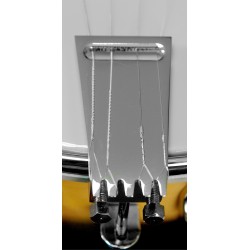 Gold Tone CC 4-string Plectrum Banjo