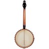 Gold Tone CEB-4 Cello Banjo - 4-string