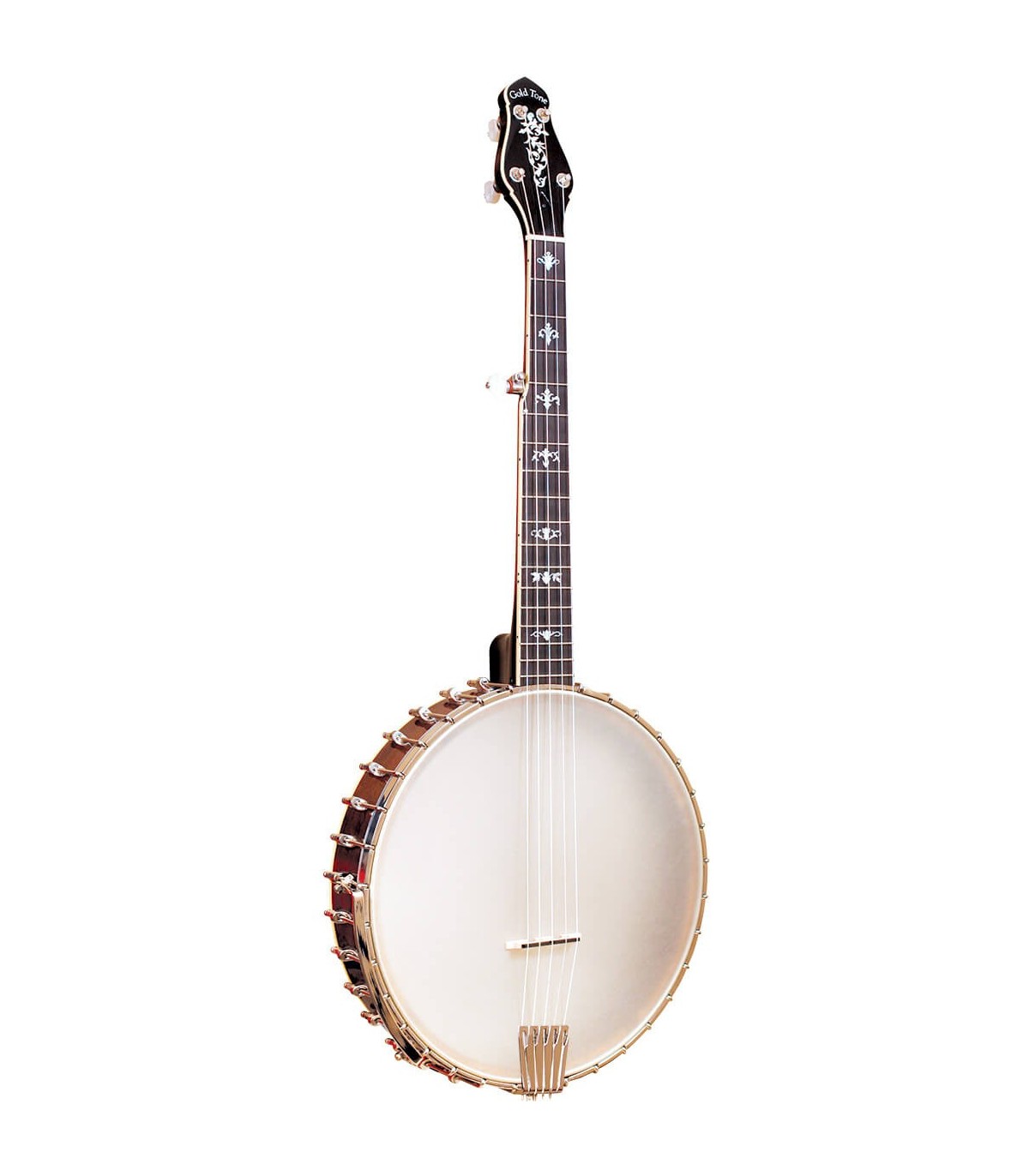 Gold CEB 5 Cello Banjo | 5-string Cello Banjo | Tuned to AEAC#E