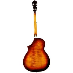 Gold Tone Dojo Deluxe