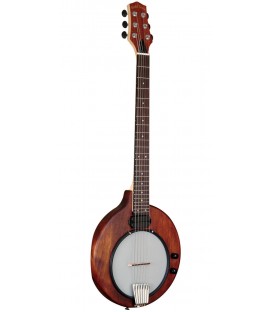 Gold Tone EB-6 Electric Banjo - Solid Body