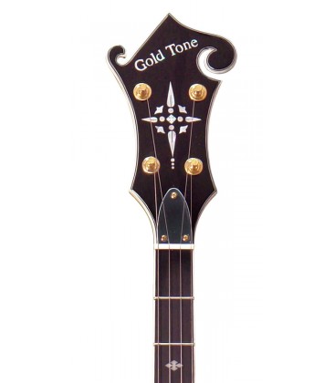 Gold Tone EBM 5 Electric Banjo