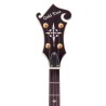 Gold Tone EBM 5 Electric Banjo