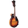 Gold Tone GM-35 F Style Mandolin