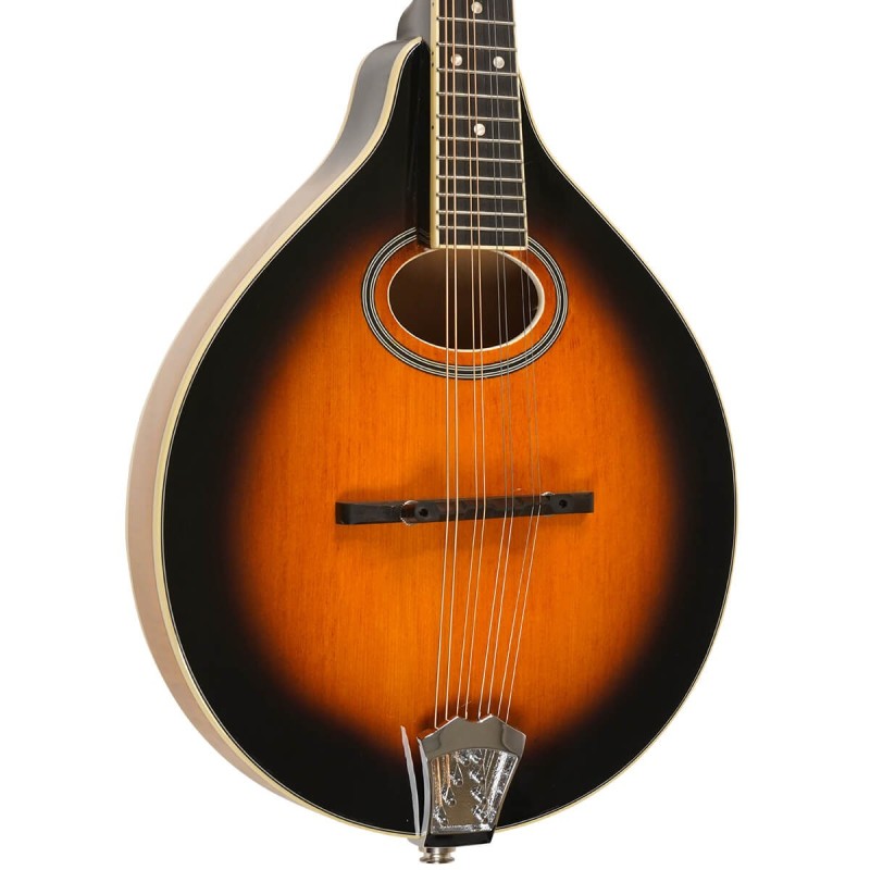 Mandolin - Goldtone - GM-50 Plus