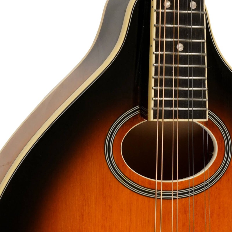 Mandolin - Goldtone - GM-50 Plus