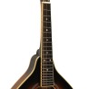 Mandolin - Goldtone - GM-50 Plus