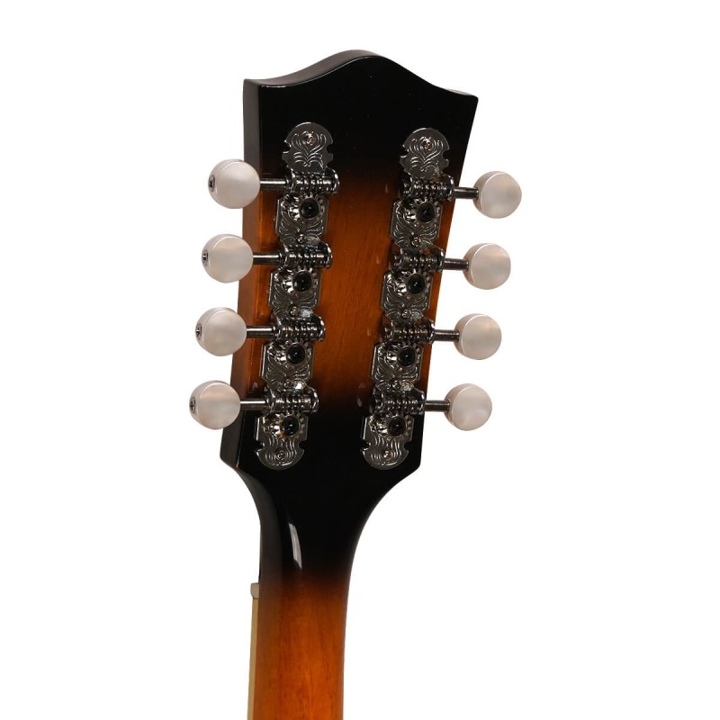 Mandolin - Goldtone - GM-50 Plus