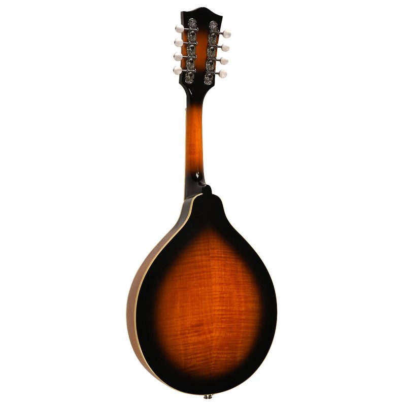 Mandolin - Goldtone - GM-50 Plus