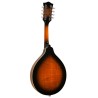 Mandolin - Goldtone - GM-50 Plus