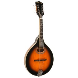 Gold Tone - A-Style Mandolin with Pickup - GM-50+