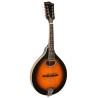 Gold Tone - A-Style Mandolin with Pickup - GM-50+