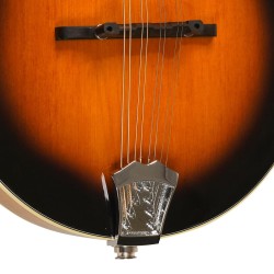 Gold Tone - A-Style Mandolin with Pickup - GM-50+