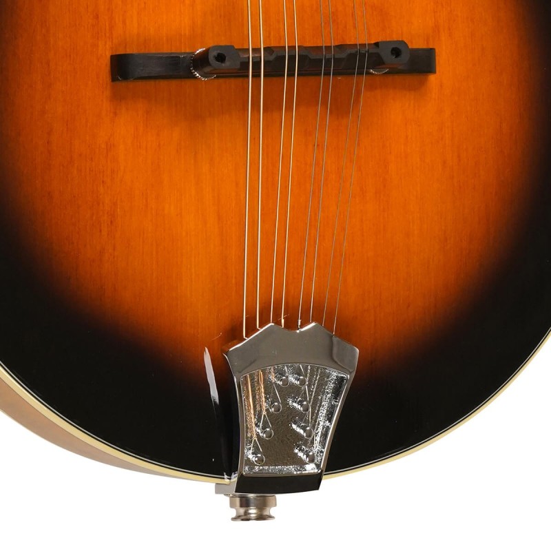 Gold Tone - A-Style Mandolin with Pickup - GM-50+