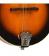 Gold Tone - A-Style Mandolin with Pickup - GM-50+