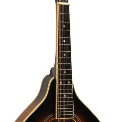 Gold Tone - A-Style Mandolin with Pickup - GM-50+