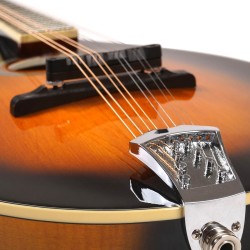 Gold Tone - A-Style Mandolin with Pickup - GM-50+