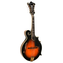 Mandolin - Goldtone - GM-70 Plus - with free hard case