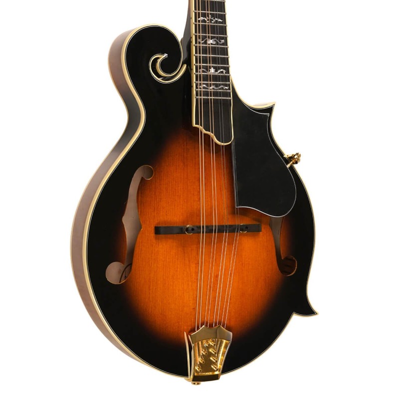 Mandolin - Goldtone - GM-70 Plus - with free hard case