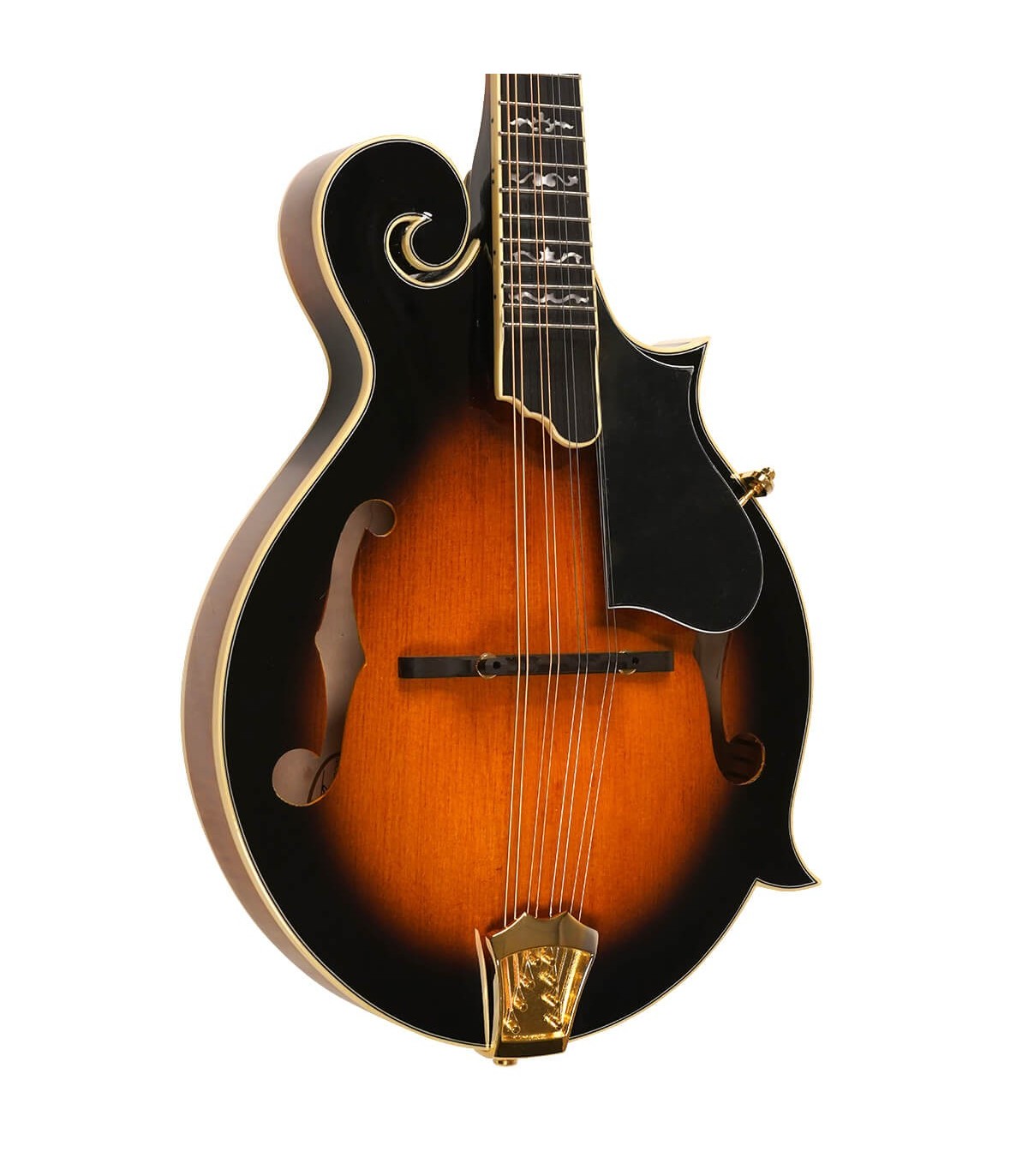 フラットマンドリン Gold Tone GM-70+ Amazon.com: Gold Tone GM-70 F-Style Mandolin (Two Tone
