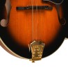 Mandolin - Goldtone - GM-70 Plus - with free hard case