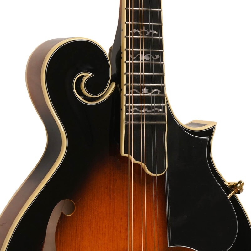 Mandolin - Goldtone - GM-70 Plus - with free hard case