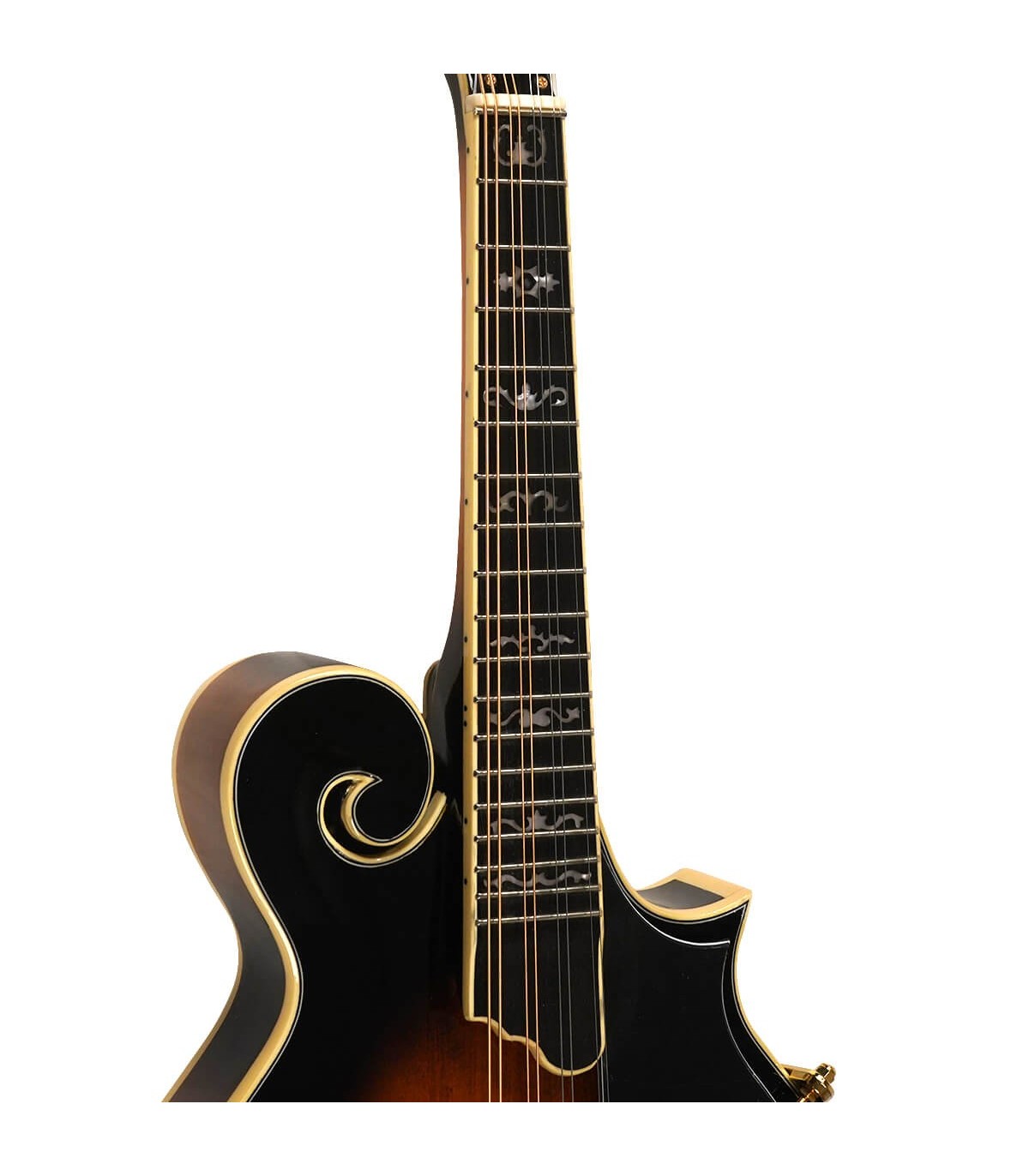 Gold Tone GM-70 Plus with Free Hardshell Case