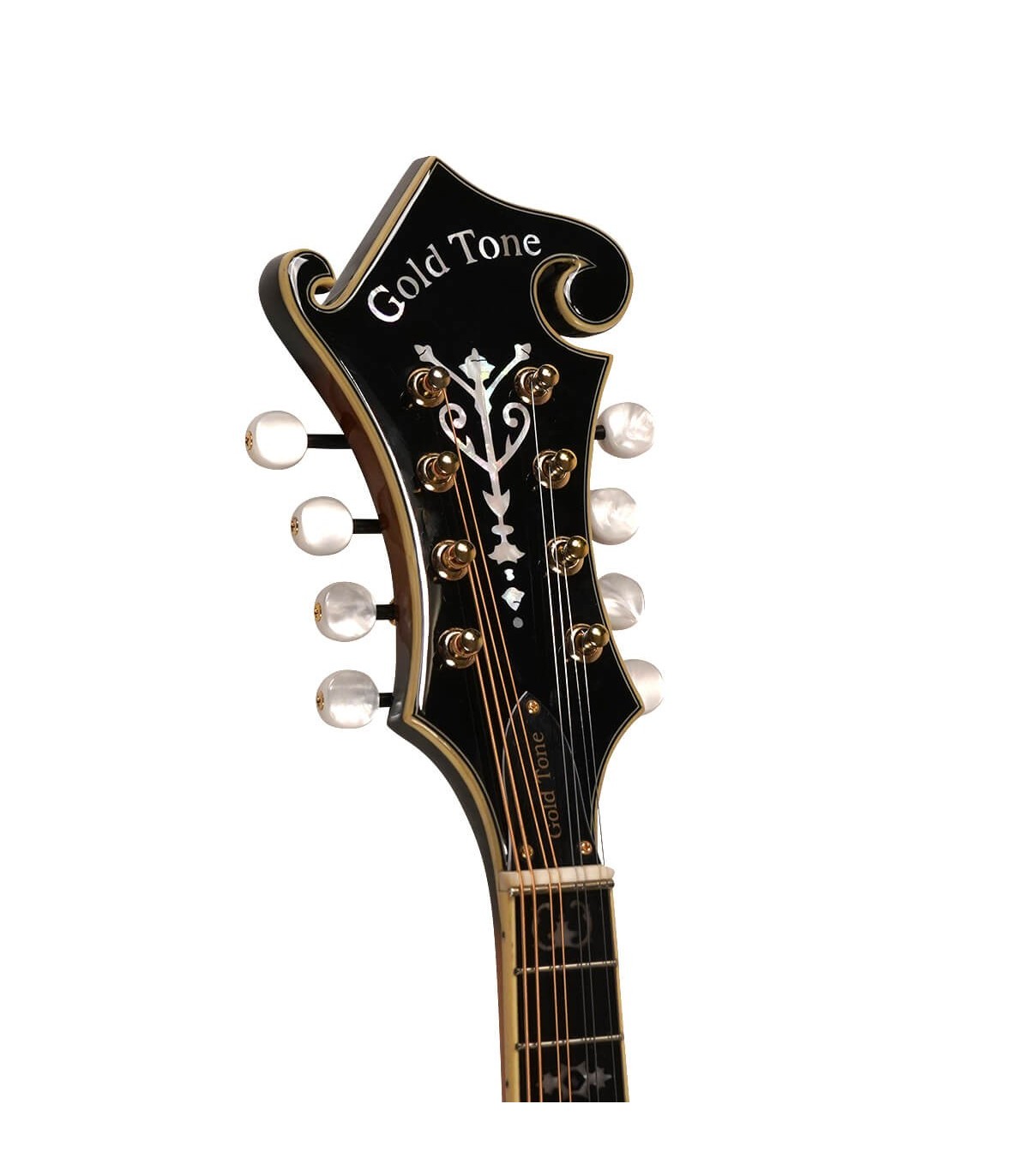 Gold Tone GM-70 Plus with Free Hardshell Case