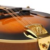 Mandolin - Goldtone - GM-70 Plus - with free hard case