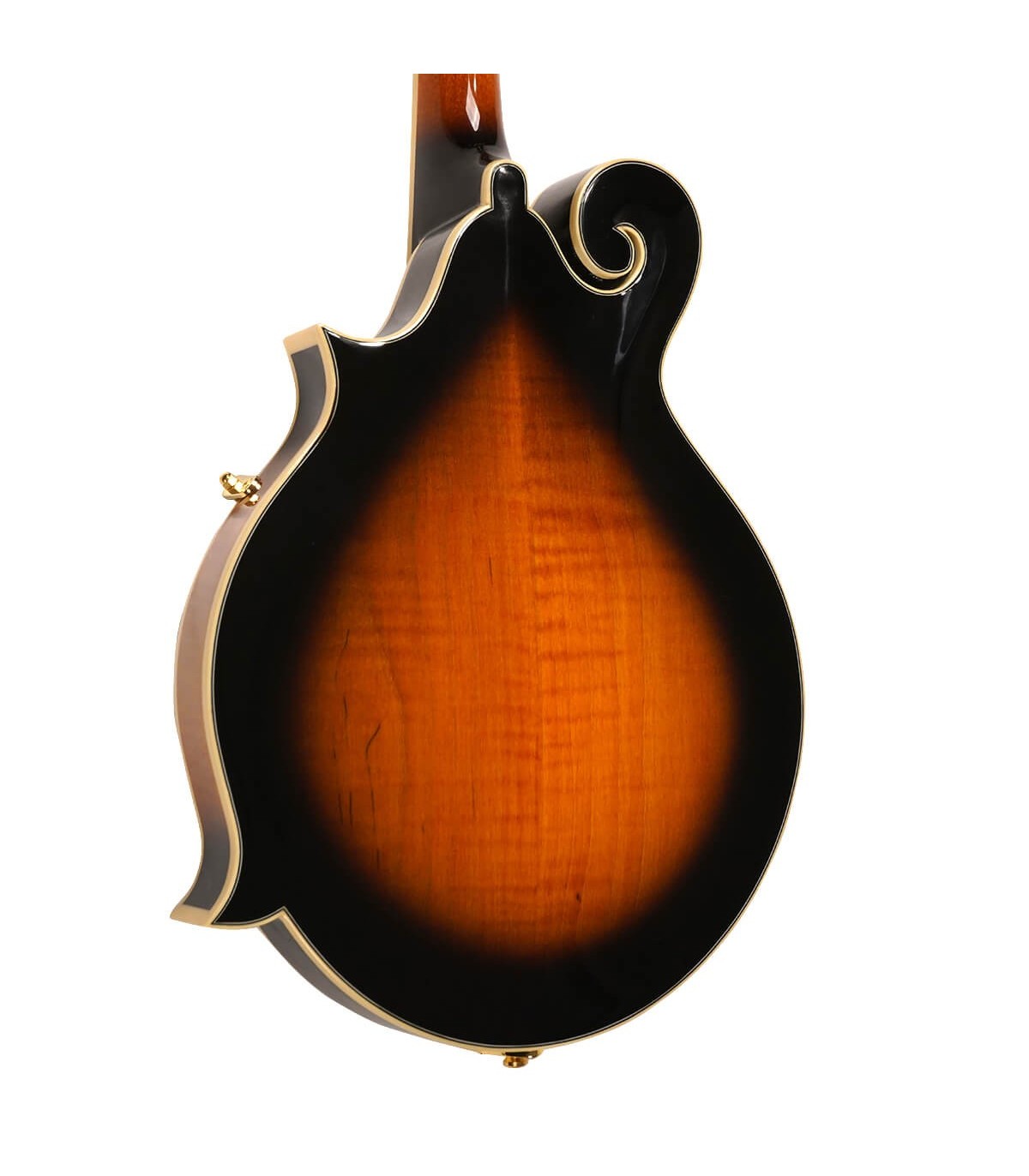 フラットマンドリン Gold Tone GM-70+ Amazon.com: Gold Tone GM-70 F-Style Mandolin (Two Tone