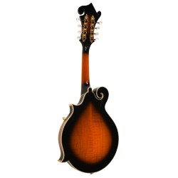 Mandolin - Goldtone - GM-70 Plus - with free hard case