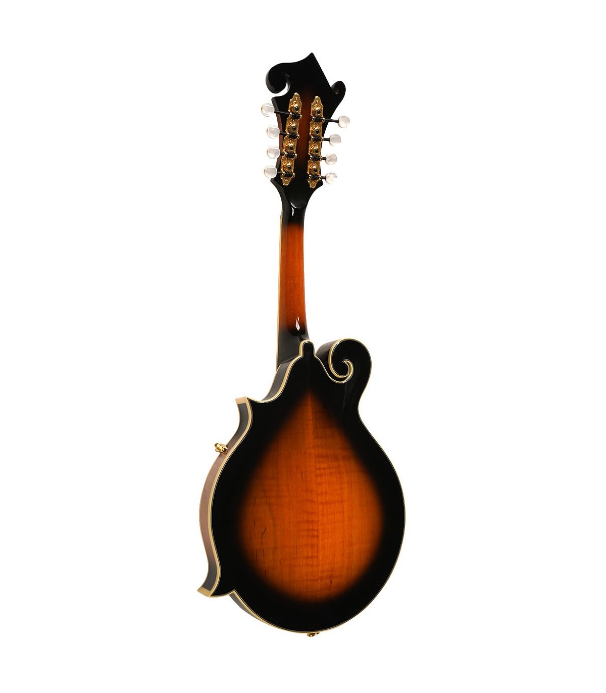 フラットマンドリン Gold Tone GM-70+ Gold Tone Mastertone™ GM-70+ F-Style Mandolin - Banjo Ben's
