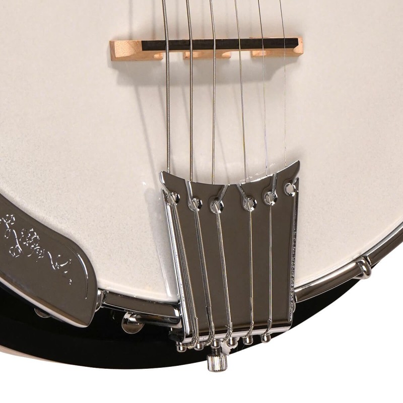 Gold Tone GT-500 Banjitar - 6 String Banjo