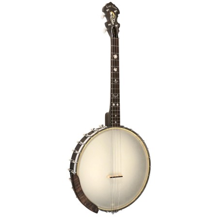 Gold Tone IT-17 Irish Tenor Banjo - 17 Fret - 12 Inch Rim