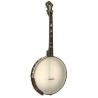 Gold Tone IT-17 Irish Tenor Banjo - 17 Fret - 12 Inch Rim