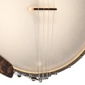 Gold Tone IT-17  Irish Tenor Banjo - 17 Fret - 12 Inch Rim