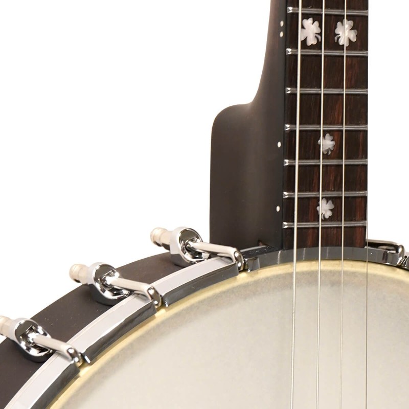 Gold Tone IT-17  Irish Tenor Banjo - 17 Fret - 12 Inch Rim