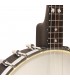 Gold Tone IT-17 Irish Tenor Banjo - 17 Fret - 12 Inch Rim