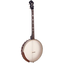 Gold Tone IT-19 Irish Tenor Banjo - 19 Fret - 12 Inch Rim