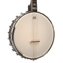 Gold Tone IT-250  - Open Back - 17 Fret Irish Tenor Banjo