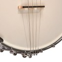 Gold Tone IT-250  - Open Back - 17 Fret Irish Tenor Banjo
