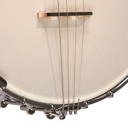 Gold Tone IT-250  - Open Back - 17 Fret Irish Tenor Banjo
