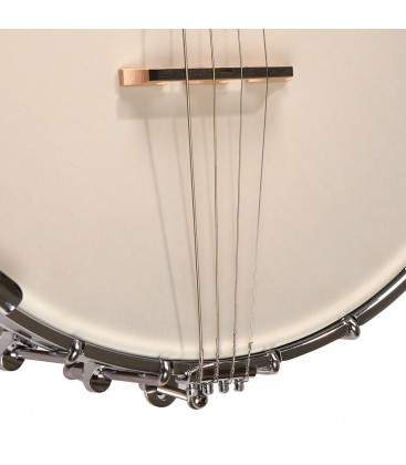 Gold Tone IT-250 - Open Back - 17 Fret Irish Tenor Banjo