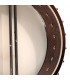 Gold Tone IT-250 - Open Back - 17 Fret Irish Tenor Banjo