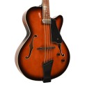 Gold Tone Mandocello with Pickup and Hard Case