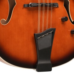 Gold Tone Mandocello with Pickup and Hard Case