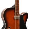 Gold Tone Mandocello with Pickup and Hard Case
