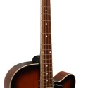 Gold Tone Mandocello with Pickup and Hard Case