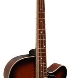 Gold Tone Mandocello with Pickup and Hard Case
